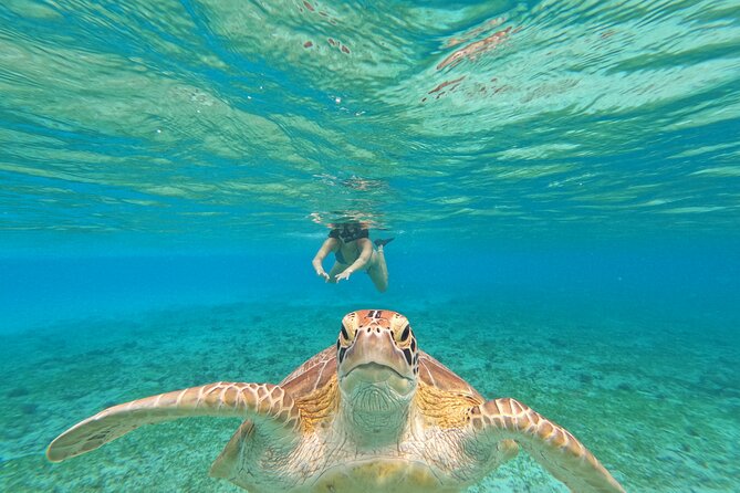 Public Snorkeling 3 Islands - Good To Know