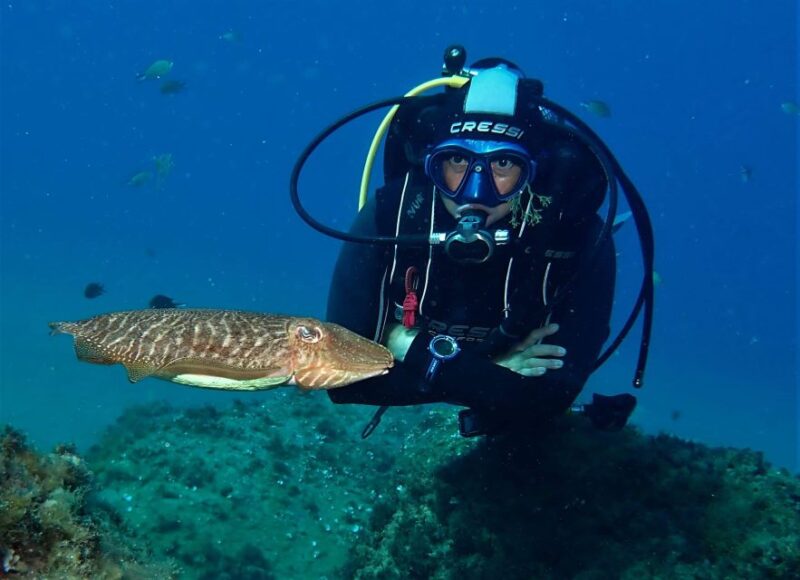 Puerto Del Carmen: Try Suba Diving With 2 Dives and Photos - Key Points
