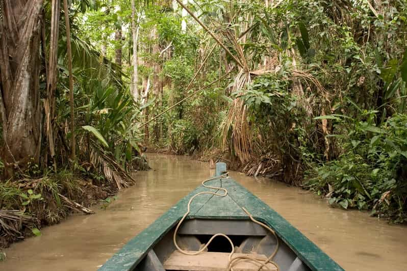 Puerto Maldonado: Macaw Clay Lick 4-Day Tour & Accommodation - Overview of the Tour