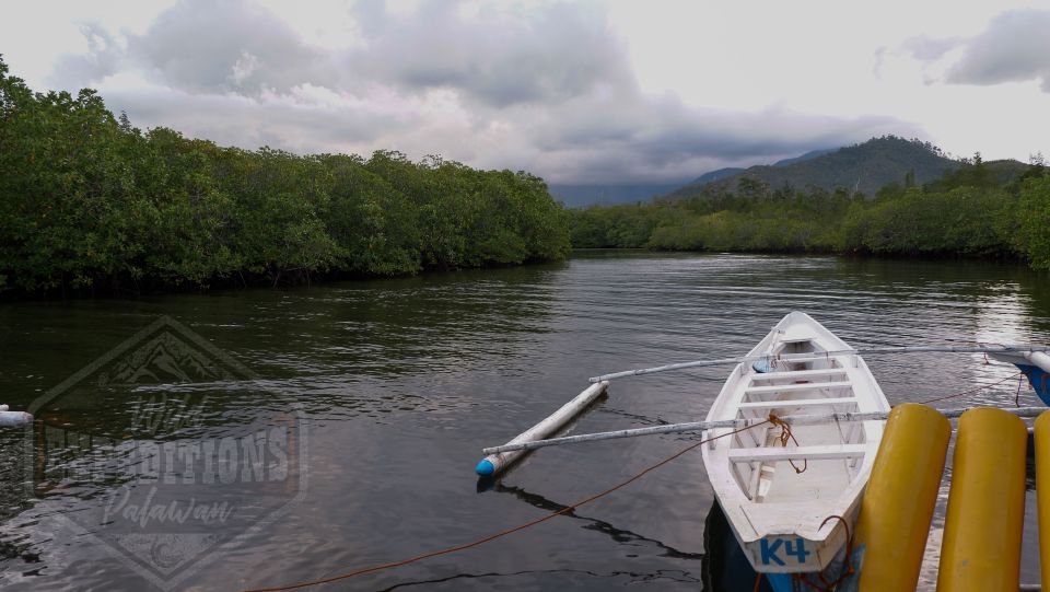 Puerto Princesa: Firefly Watching Paddle Boat Tour & Dinner - Key Points