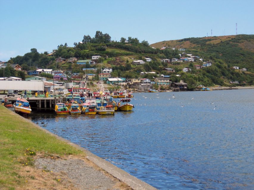 Puerto Varas: Full Day Chiloe Island Tour Castro and Dalcahue - Key Points