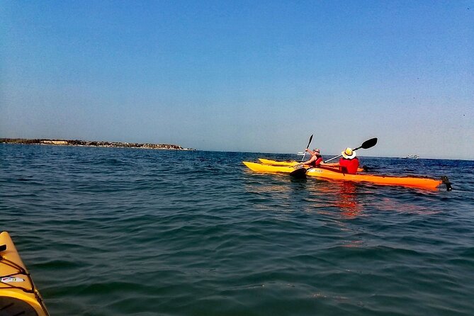 Punta Arena Excursion Kayak - Exploring the Cartagena Coastline
