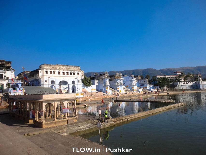 Pushkar Day Trip With Camel Safari From Jaipur by Car. - Key Points