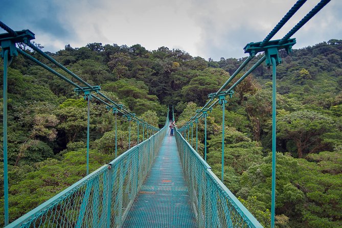 Rainforest Canopy Zipline & Hanging Bridges Tour From Monteverde - Tour Overview