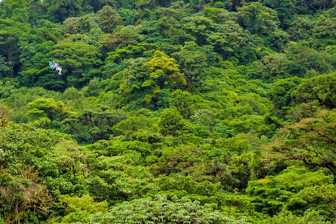 Rainforest Canopy Zipline & Hanging Bridges Tour From Monteverde - Inclusions and Logistics