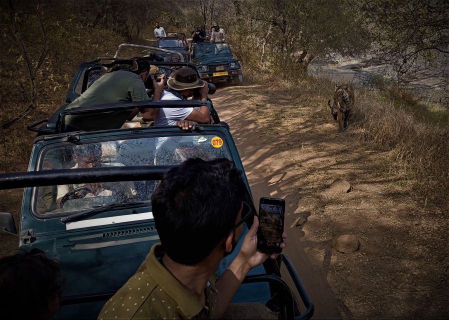 Ranthambore Safari by Canter ( 20 Seater Bus) - Key Points