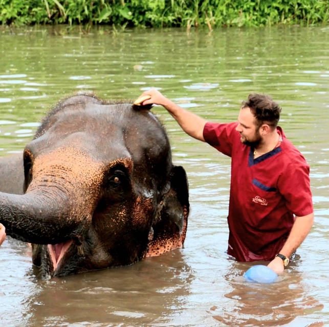 Rantong Elephant Sanctuary Chiangmai - Key Points