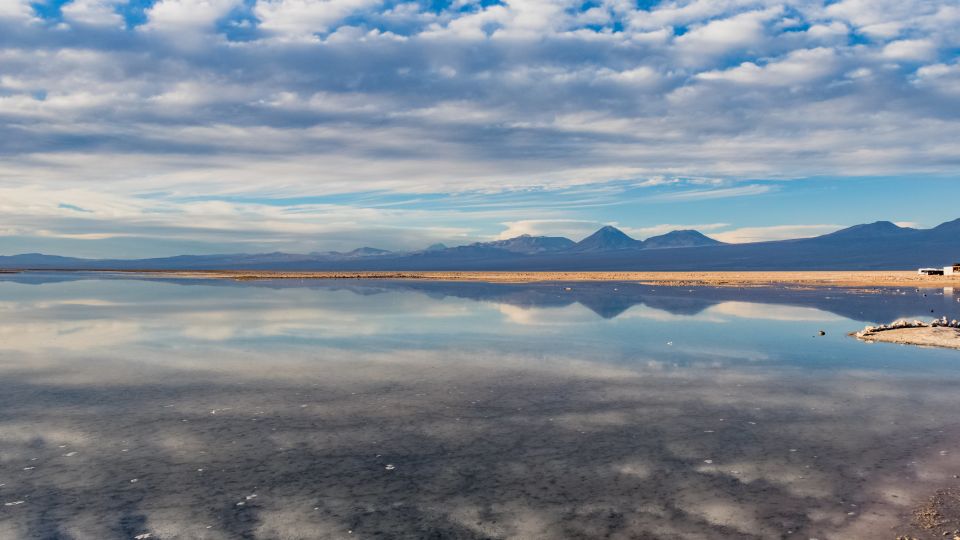 Red Stones, Altiplanic Lagoons & Salt Flat Full-Day Tour - Key Points