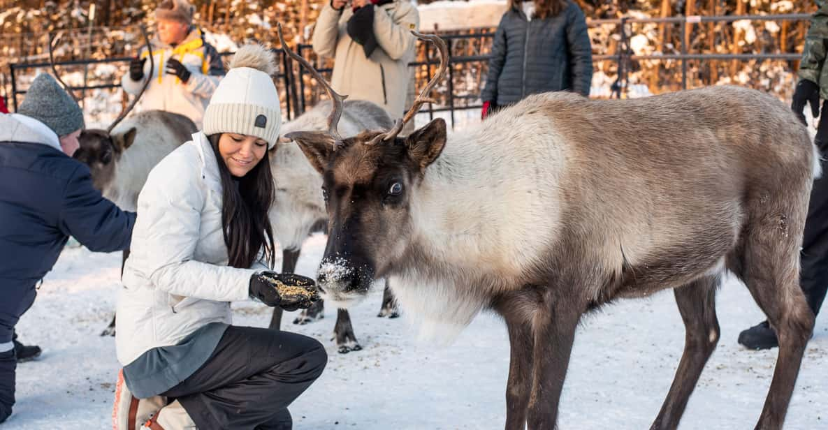 Reindeer and Snowmobile Day Trip to Borealis Basecamp - Key Points