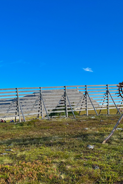 Reindeer and Stories: A Sami Cultural Adventure - Good To Know