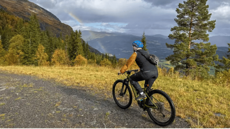 Rentals | E-Mountain Bike – Full Suspension