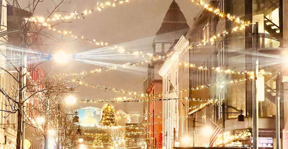 Reykjavik Christmas Walking Tour - Key Points