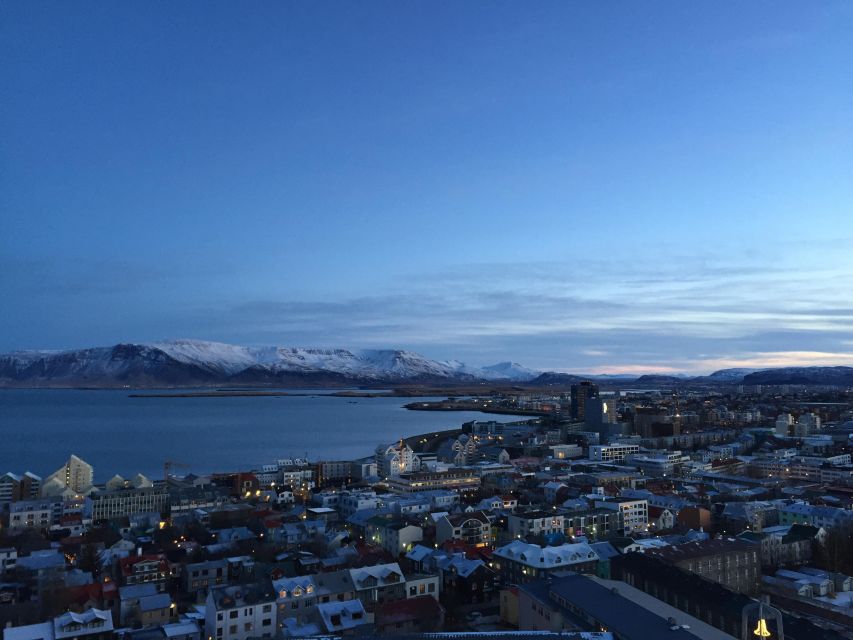 Reykjavik City - Half Day Private Tour - Key Points