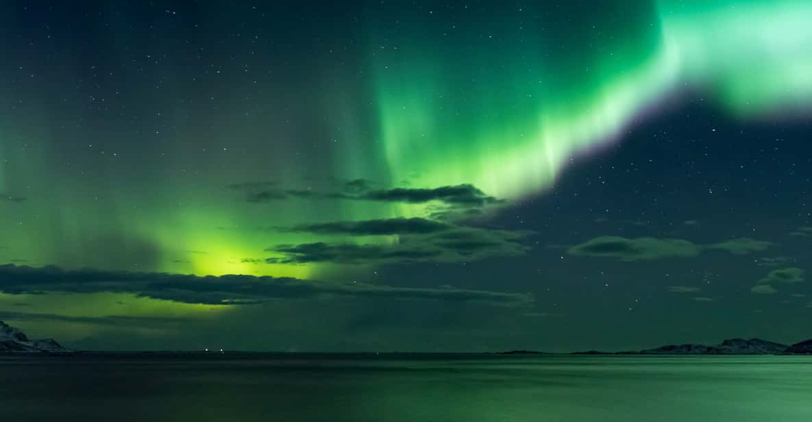 Reykjavik: Enchanted Aurora Northern Lights Tour With Photos - Key Points