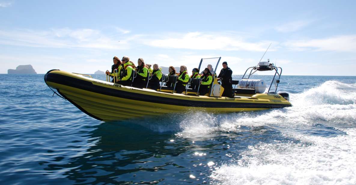 Reykjavik: Whale Watching by RIB Speedboat - Key Points