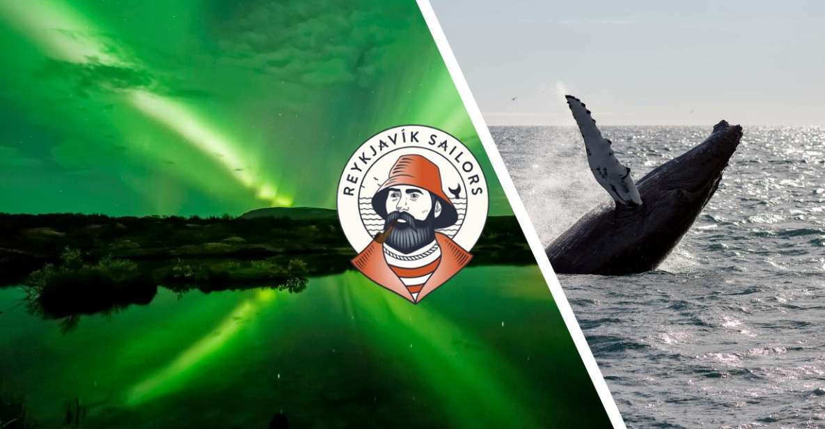 Reykjavik: Whale Watching & Northern Lights Combo Cruise - Key Points