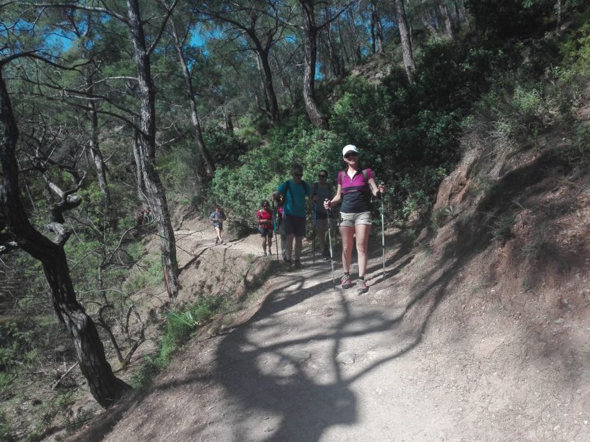 Rhodes: Guided Hike to 7 Springs From Archangelos - Key Points