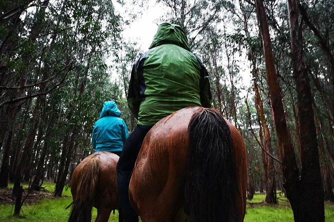 Ride in the Morning and Plant a Tree on the Top of the Island - Exploring the Islands Landscapes