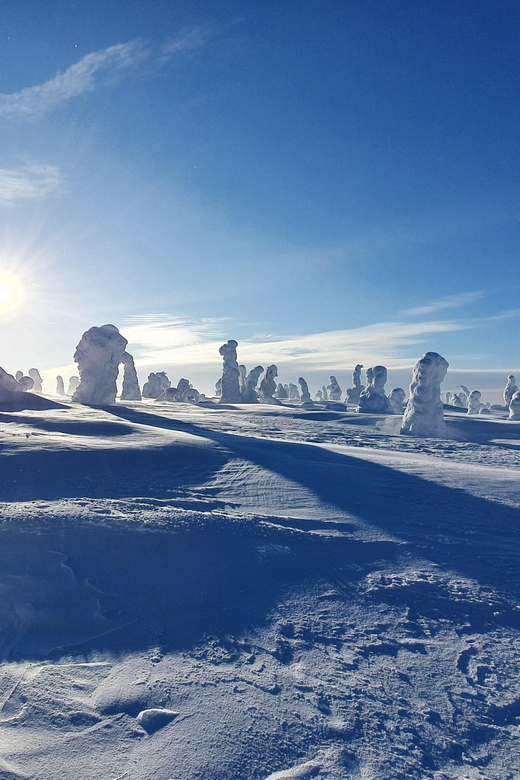 Riisitunturi National Park Private Snowshoe Experience - Key Points