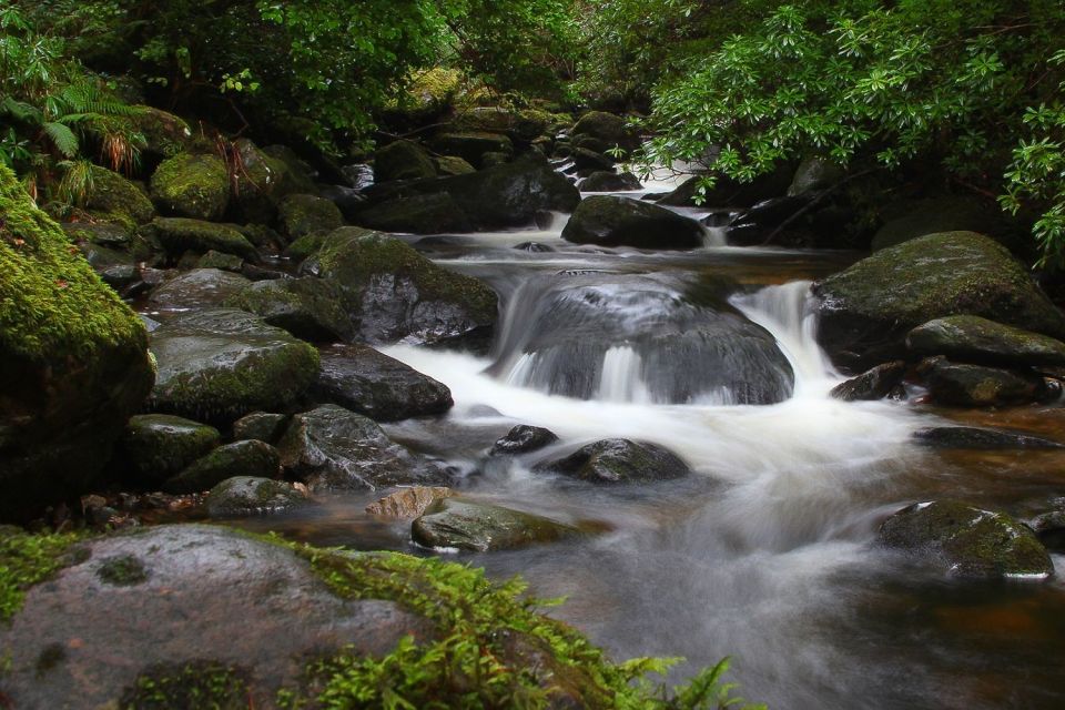 Ring of Kerry: Full-Day Tour From Killarney - Good To Know