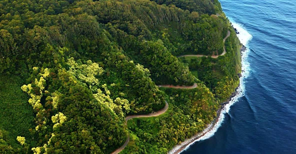 Road to Hana: Professional Guide, Food, Swimming, Waterfalls - Tour Overview and Pricing