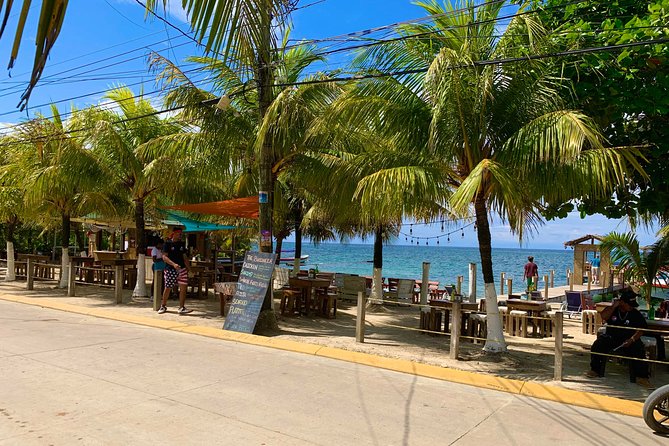 Roatan East and West City Tour With Beach - Key Points