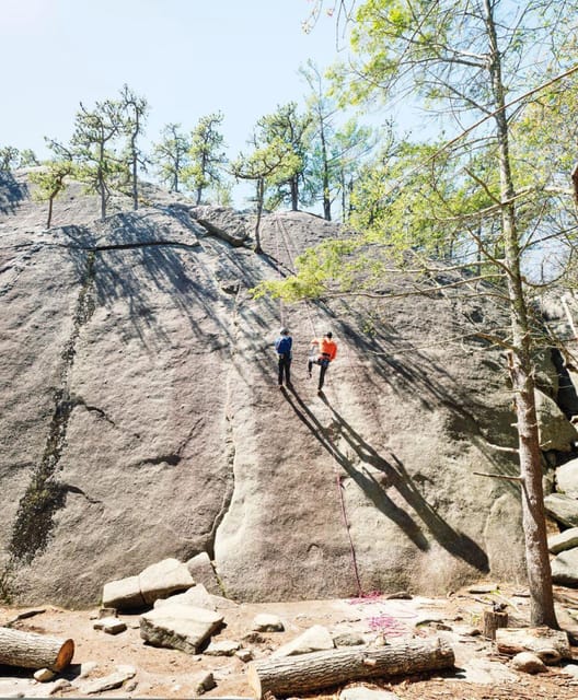 Rock Climbing Day Trip at Red Rock W/ Transfers From Boston - Key Points