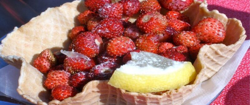 Roman Countryside: a Day Wine and Food Tasting, Private Tour - Key Points