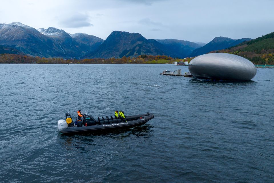 Rosendal Majesty: Exclusive RIB Adventure in Hardangerfjord - Good To Know