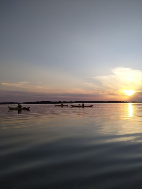 Roskilde: Guided Kayaking on Roskilde Fjord: Sunset Tour - Key Points