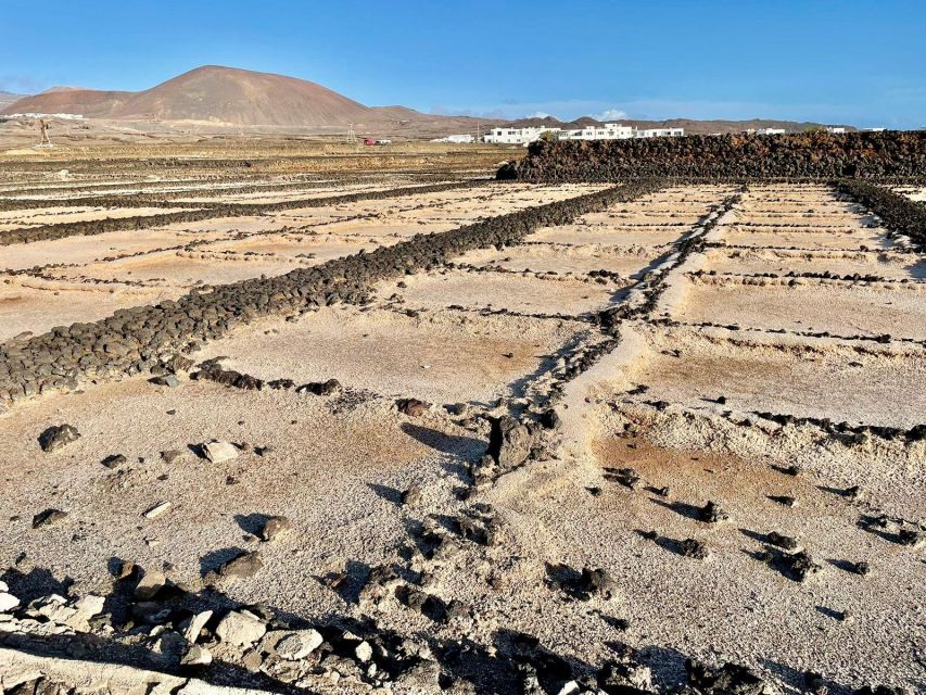 Route Guided on the Volcanic Coast of Lanzarote. - Activity Overview