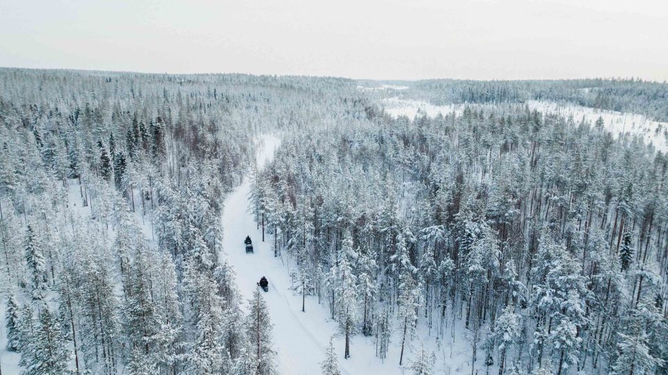 Rovaniemi: 3-Hour Snowmobile Safari in Lapland - Key Points