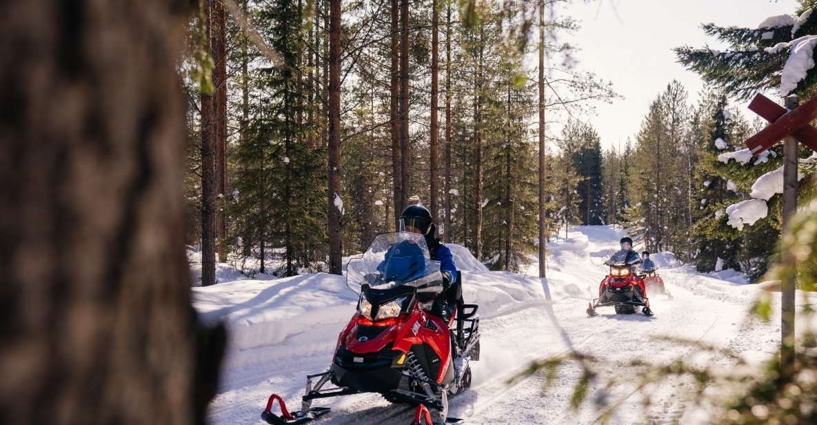 Rovaniemi: 4h Snowmobile Safari - Key Points