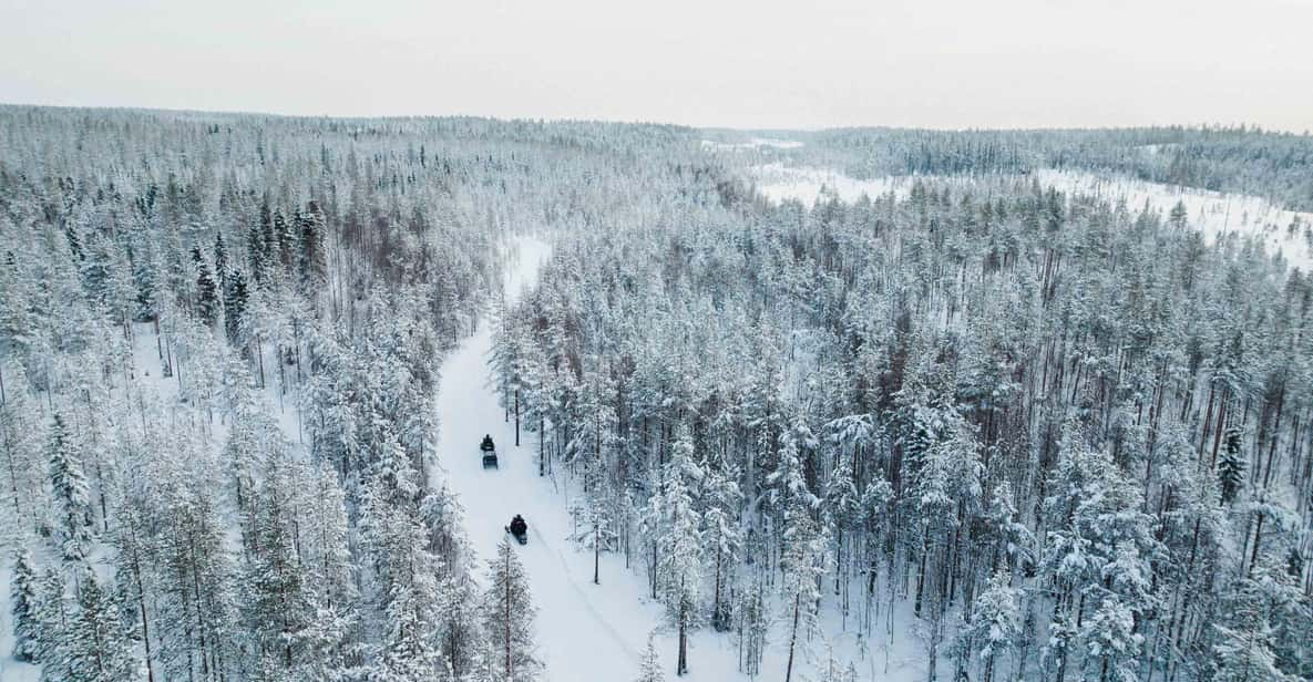 Rovaniemi: 6-Hour Snowmobile Safari in Lapland - Key Points