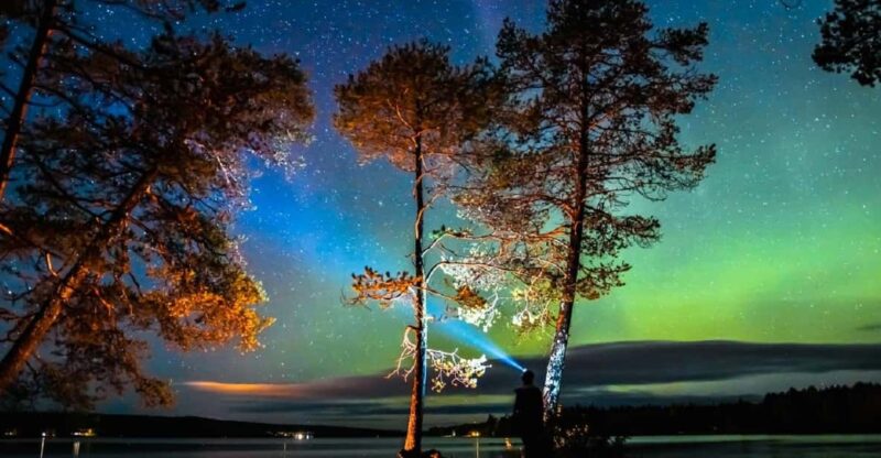 Rovaniemi: Aurora Borealis Autumn Picnic - Key Points