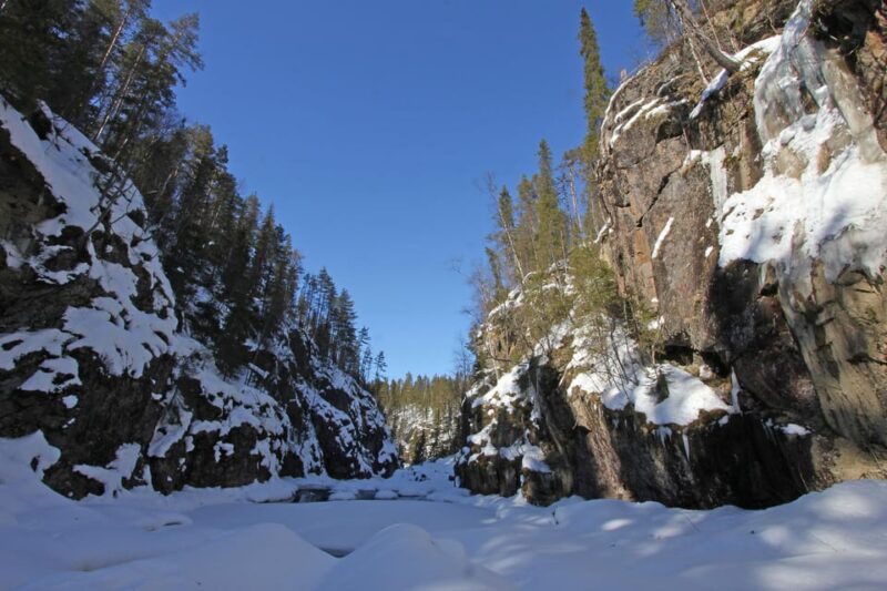 Rovaniemi: Auttiköngäs Winter Wilderness Hike & BBQ - Key Points