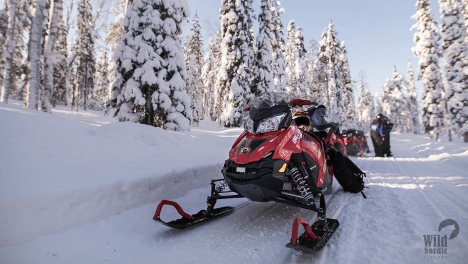 Rovaniemi: Easy Snowmobile Safari - Key Points