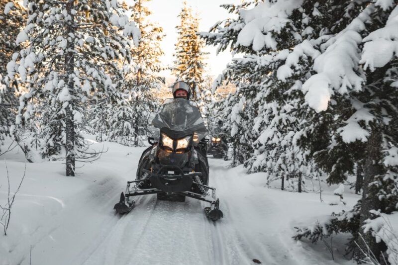 Rovaniemi: Electric Snowmobile Safari to Arctic Wilderness - Key Points