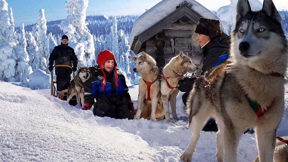 Rovaniemi: Family Friendly Husky Ride and Farm Visit - Key Points