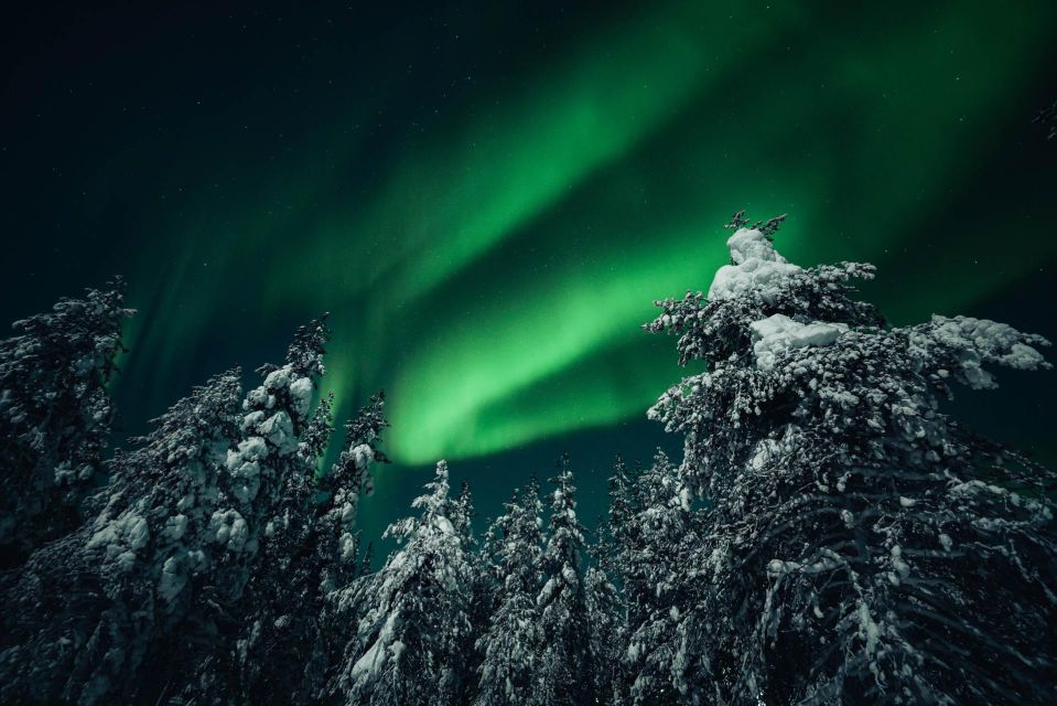 Rovaniemi: Northern Lights Hunt With a Photographer - Key Points