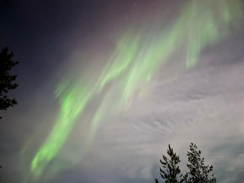 Rovaniemi: Private Aurora Borealis Car Tour With Hot Drinks - Key Points