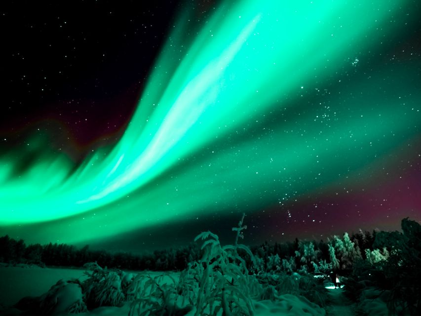 Rovaniemi: Private Tour With Guaranteed Northern Lights - Key Points