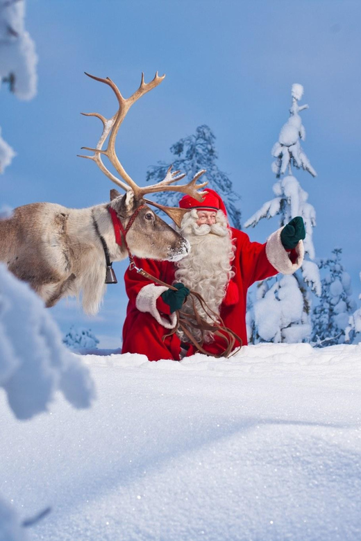 Rovaniemi: Pure Christmas Joy Half-Day Tour - Key Points