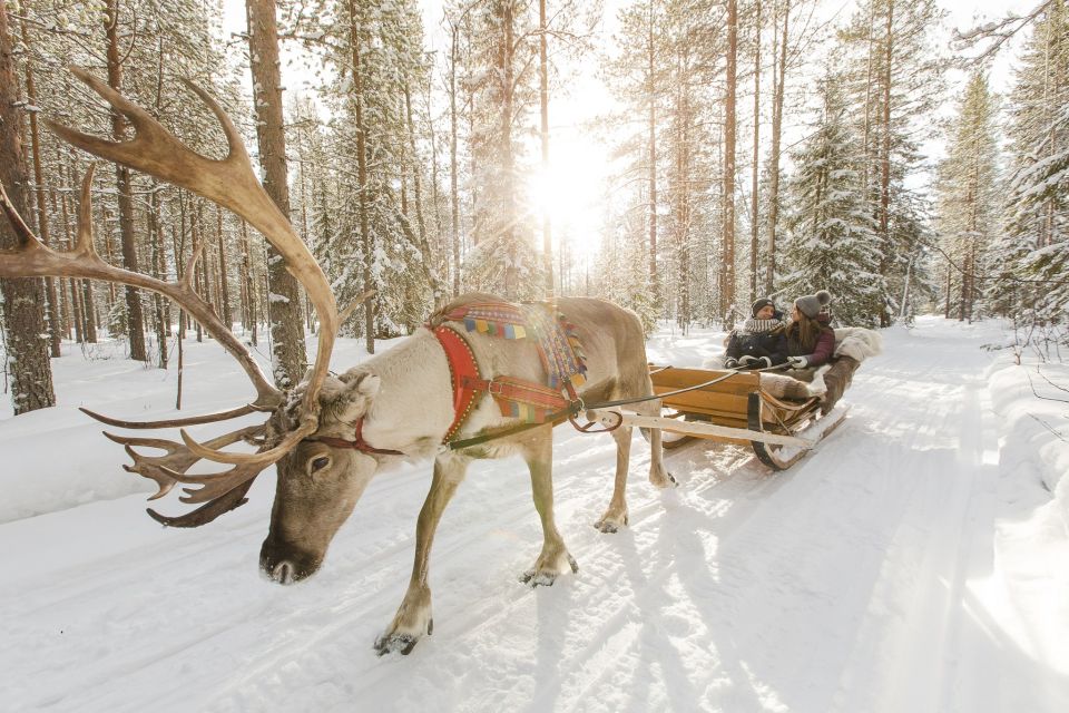 Rovaniemi: Reindeer, Huskies, Santas Pets & Aurora BBQ Tour - Key Points