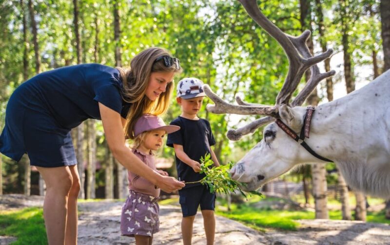 Rovaniemi: Saami Reindeer Farm Visit & Sleigh Ride - Key Points