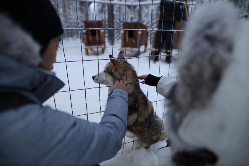 Rovaniemi: Santa Claus Village Tour Huskies & Reindeer Visit - Key Points