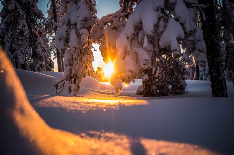 Rovaniemi: Snowshoe Wilderness Adventure - Key Points