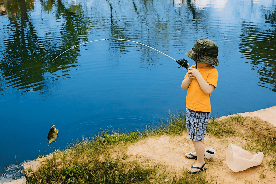 Rovaniemi: Summer Fishing Tour in Arctic Nature & BBQ - Booking Information