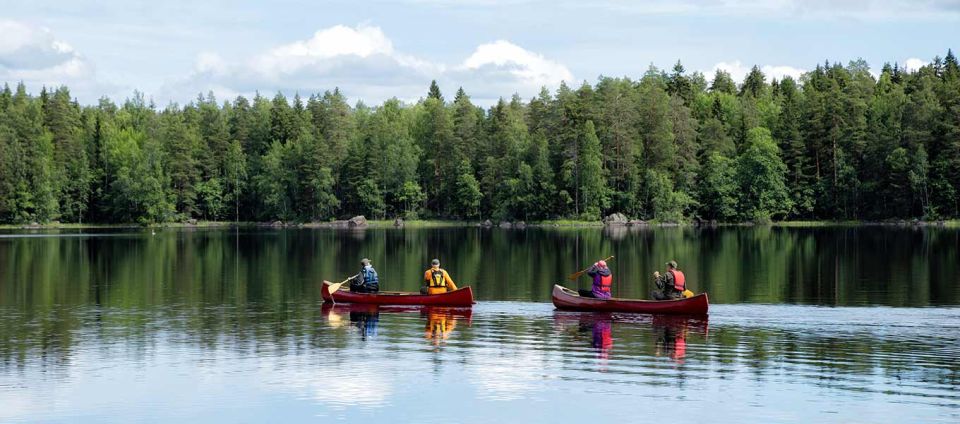 Rovaniemi: Wilderness Kayaking Adventure Trip With Hot Drink - Key Points