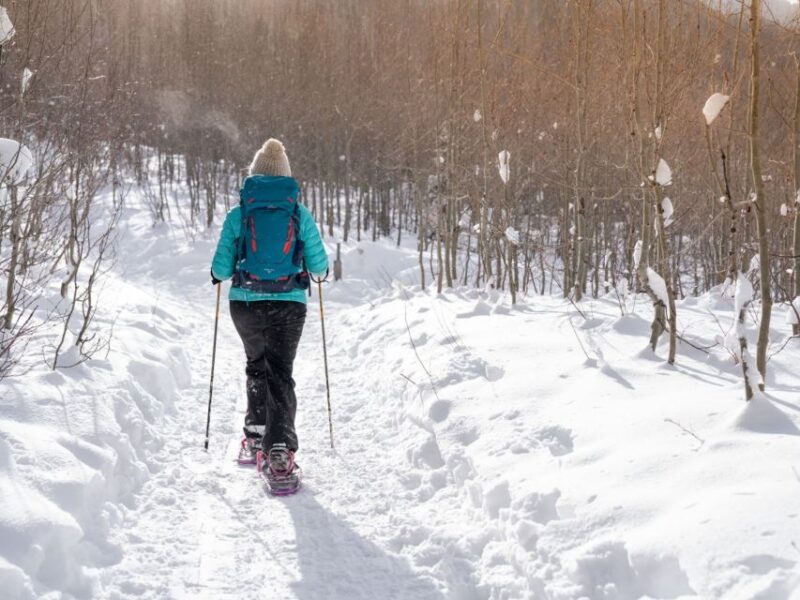 Rovaniemi: Wilderness Snowshoes Expedition Tour & Barbeque - Key Points